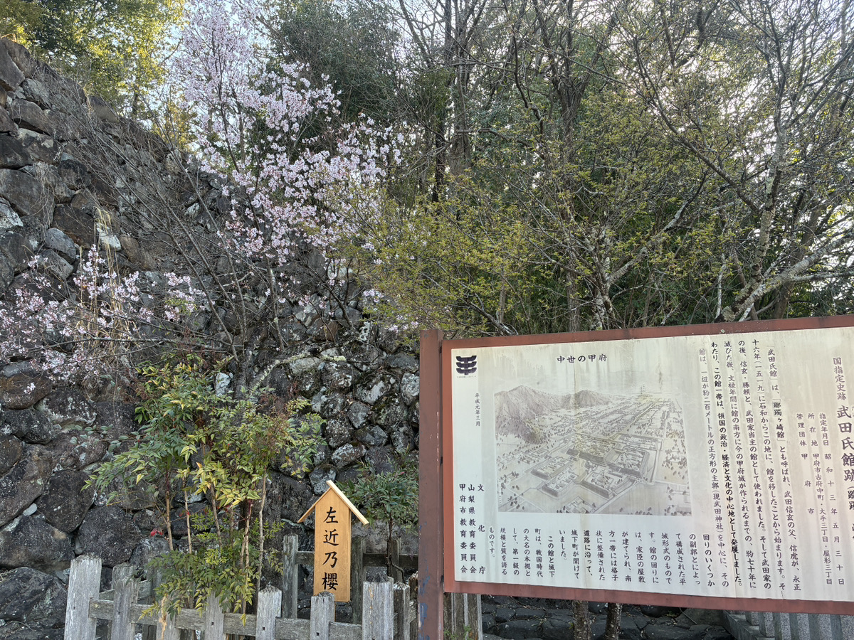 【編集部】今後のビジネスのキーは「ケア」ではないか